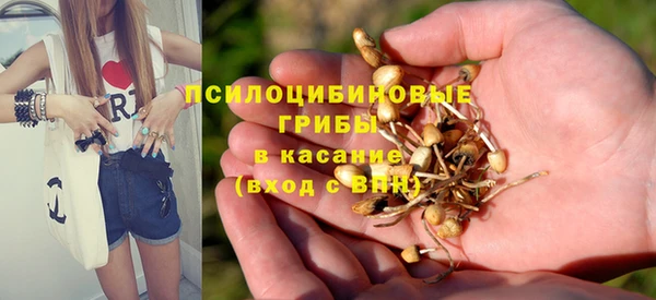 гидропоника Балахна