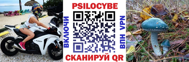 Псилоцибиновые грибы прущие грибы  Тюкалинск 
